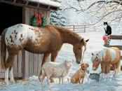 University Of Oregon Ducks