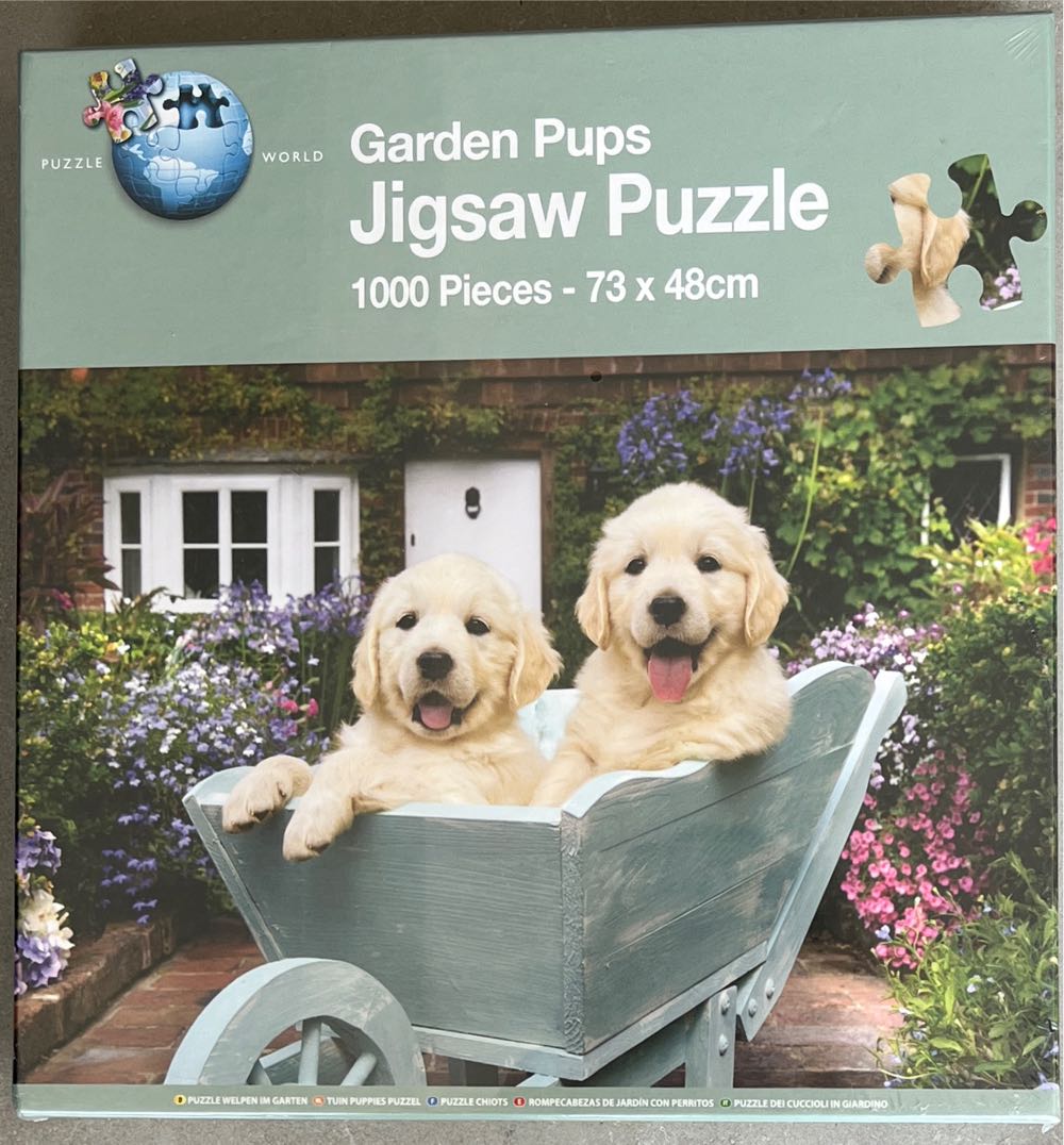 All You Need Is Love & A Dog