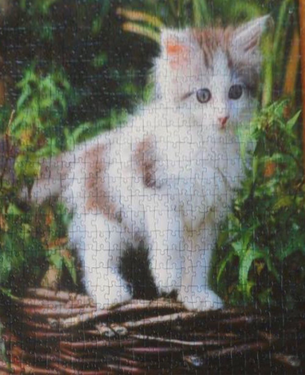 Poesie Mauw 🟦 - Ravensburger puzzle collectible - Main Image 3