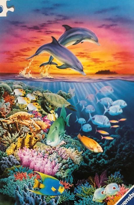 Dolphin Sunset - Ravensburger puzzle collectible - Main Image 2