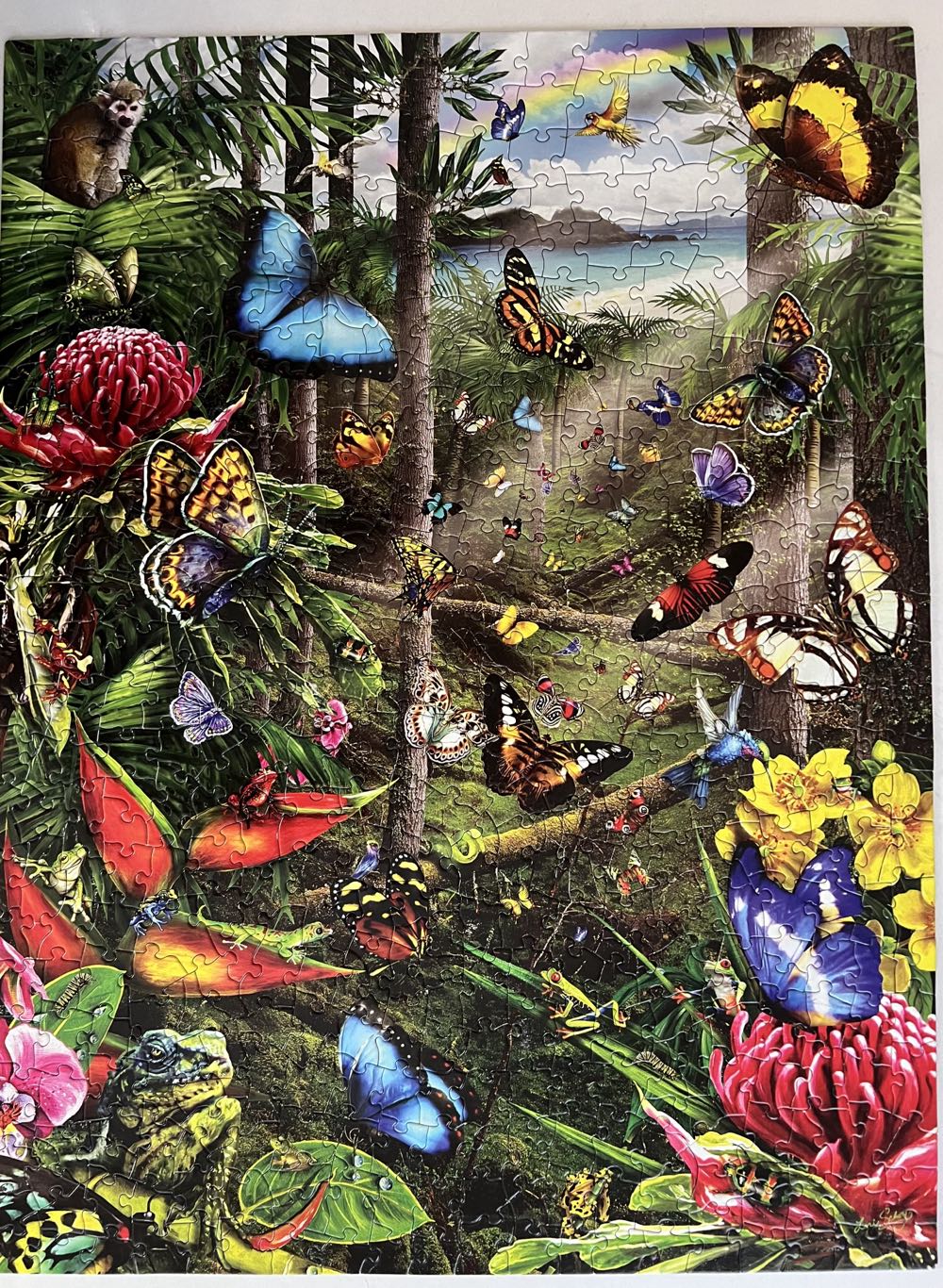 Butterfly Tropics - SunsOut puzzle collectible [Barcode 796780349421] - Main Image 2