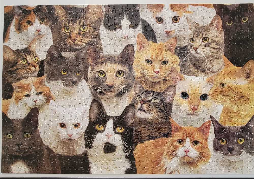 Here Kitty Kitty Cat Jigsaw - Puzzle go! puzzle collectible [Barcode 400069333055] - Main Image 2