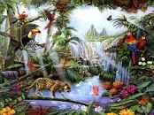 Curious Introduction