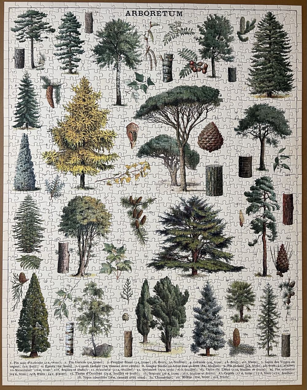 Arboretum - Cavallini & Co puzzle collectible [Barcode 9781635447231] - Main Image 2