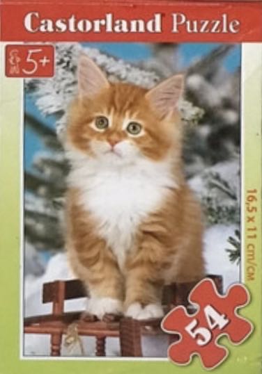 Watermelon Pupsicle**