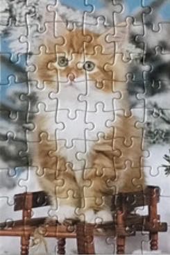 Kitten On A Strump NMOL (VERKOCHT) - Castorland puzzle collectible - Main Image 3