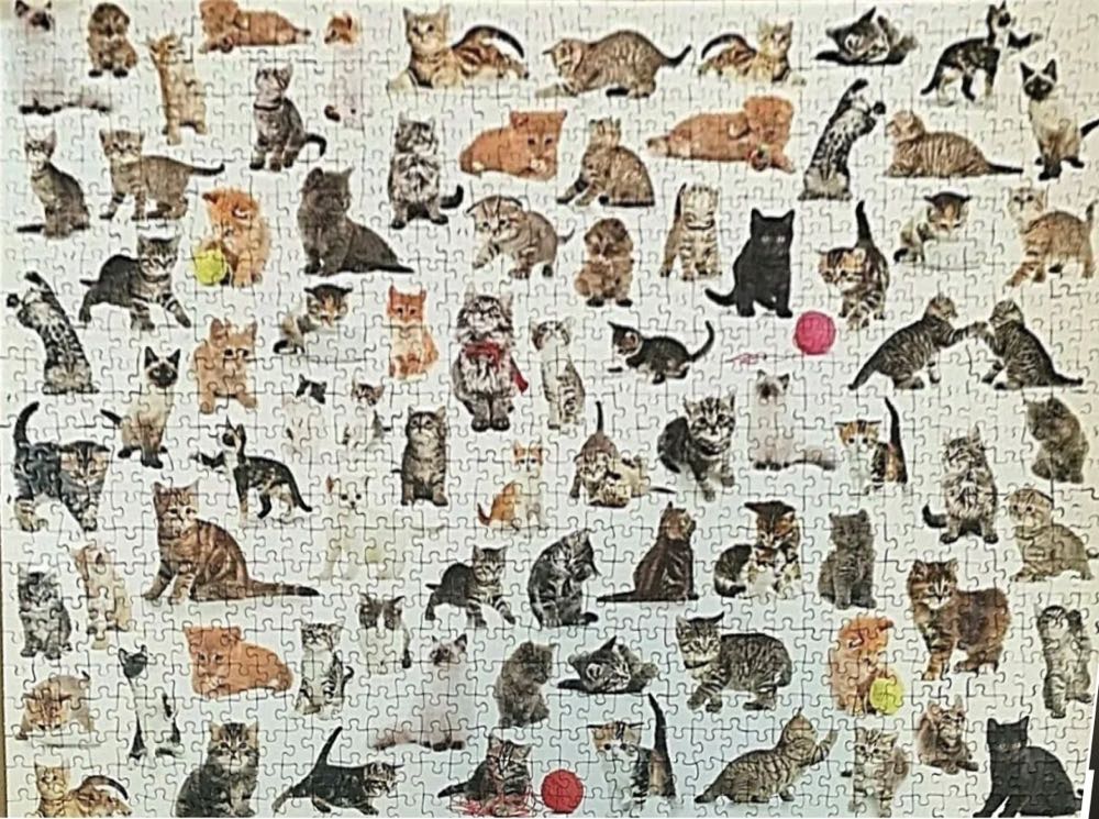 Kittens 🟦 - Marks & Spencer Jigsaw Puzzles puzzle collectible [Barcode 09404441] - Main Image 3