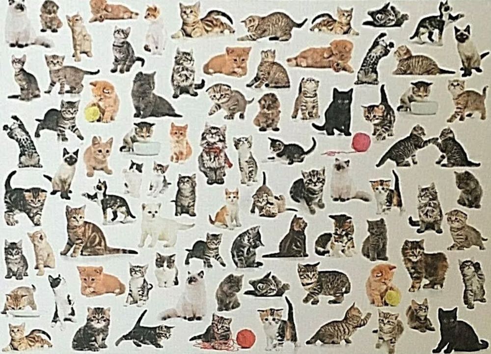 Kittens 🟦 - Marks & Spencer Jigsaw Puzzles puzzle collectible [Barcode 09404441] - Main Image 4