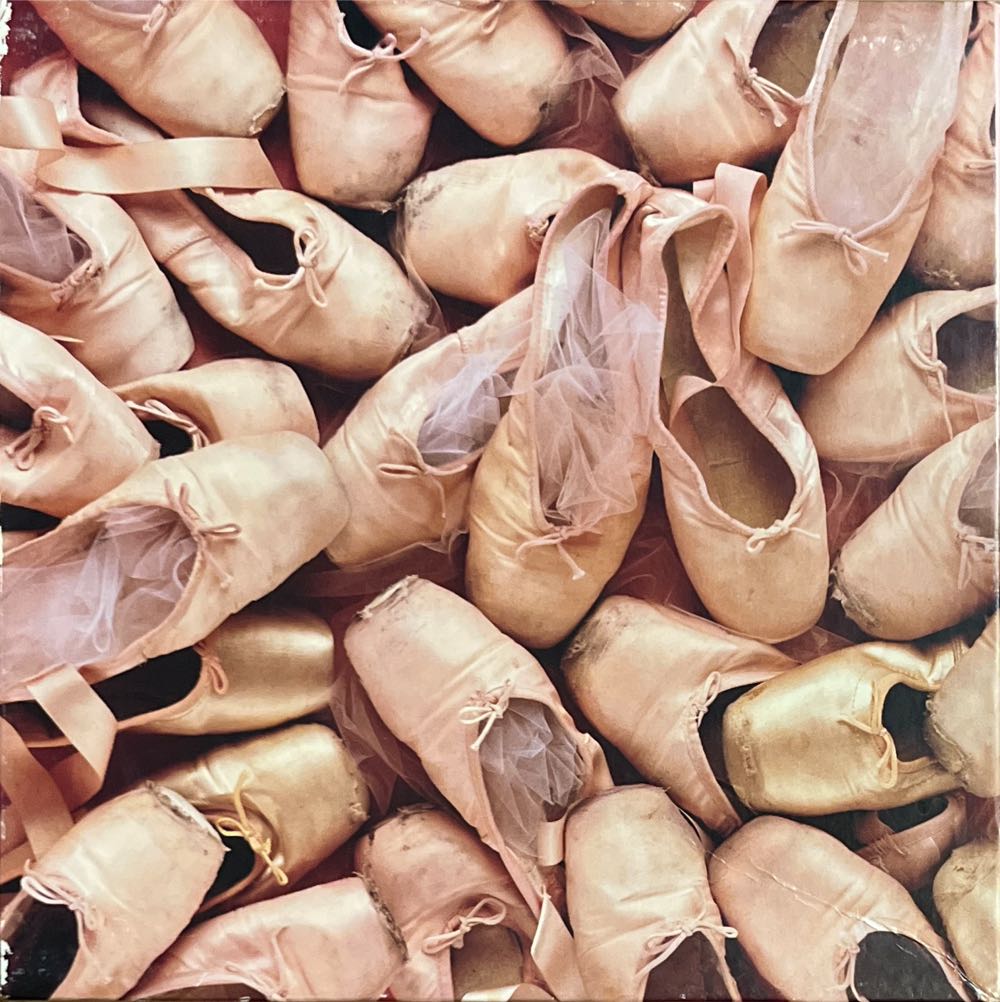 One Hundred Dogs And A Cat