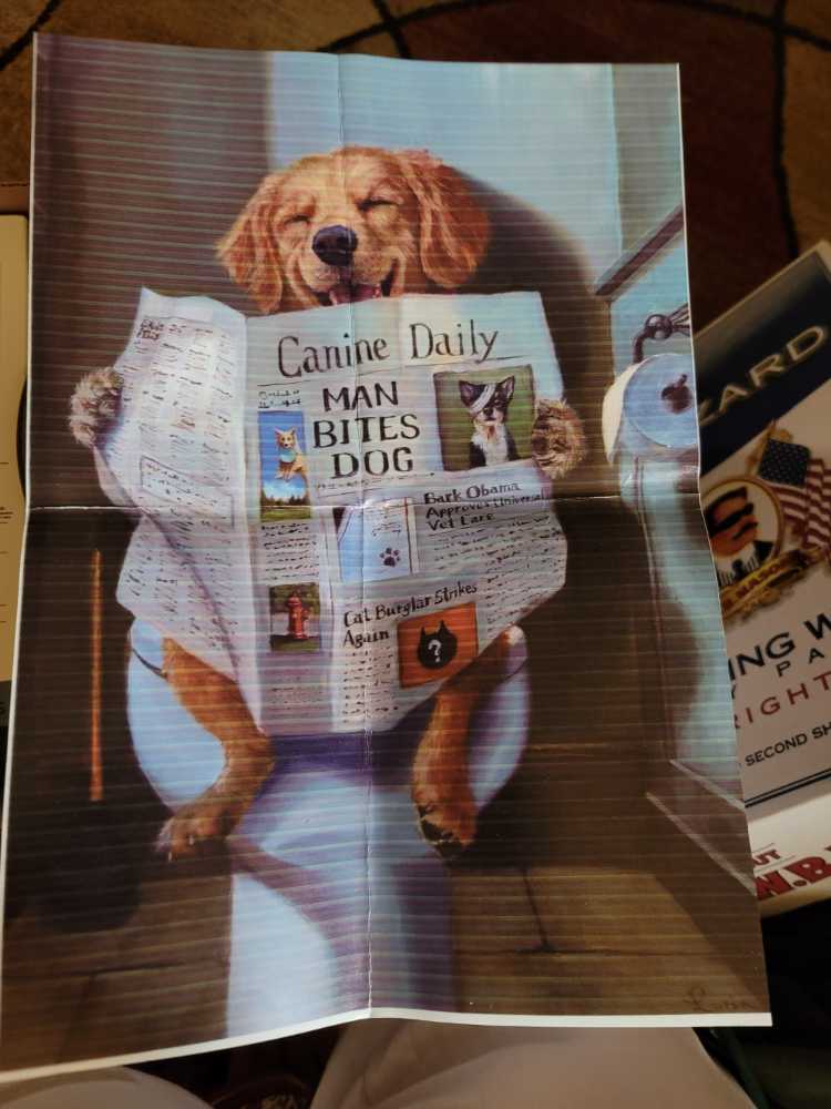 Kansas City Puzzle Company Birdie Puzzle Bunker