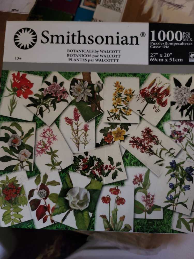 Catch of the Day Elly