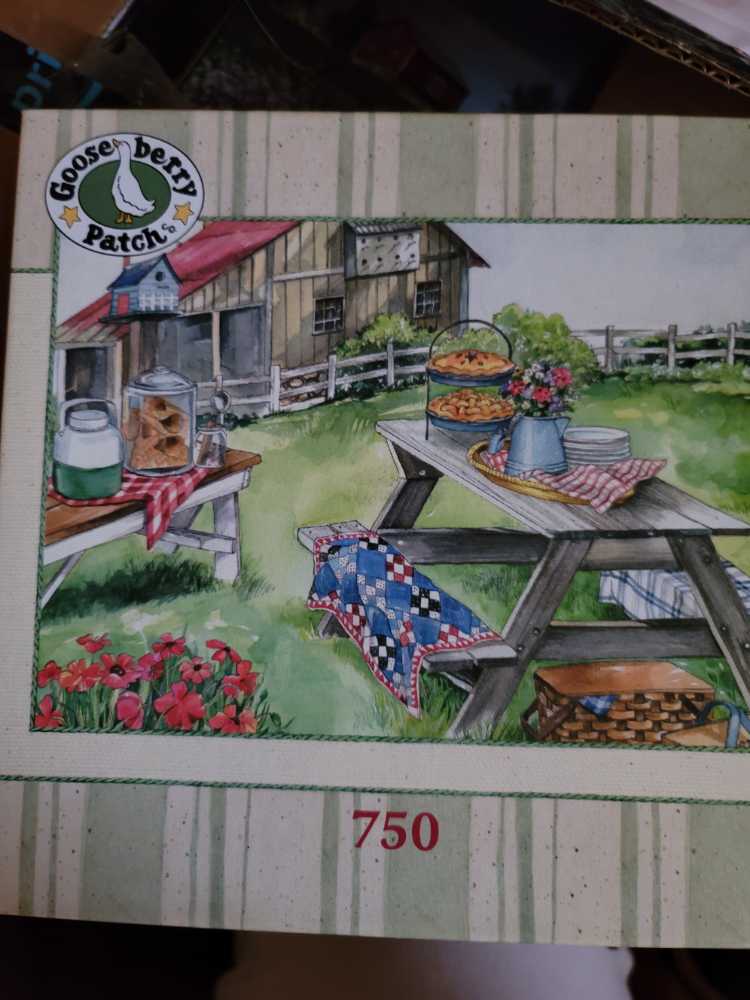 Turtle’s Ocean Voyage