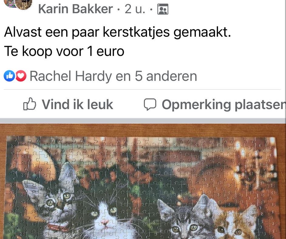 Christmas Cats 🟦 - Not Listed puzzle collectible - Main Image 2