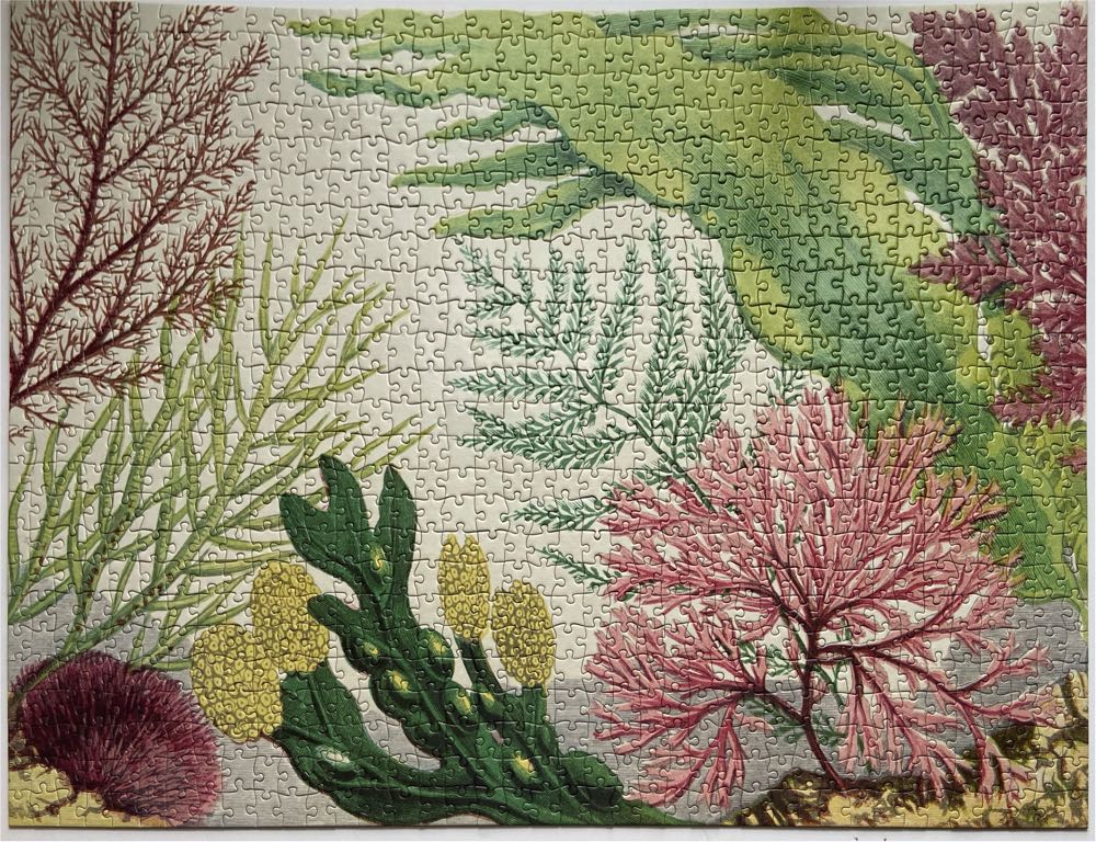 Sea Life - Artisan Puzzles puzzle collectible [Barcode 9781648291784] - Main Image 2