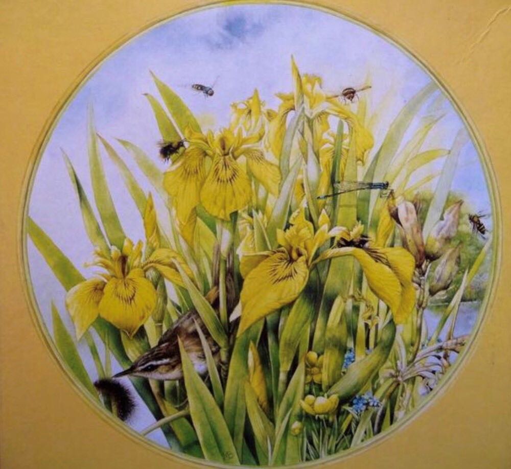 Yellow Irisses / Gele Irissen NNK - Mb puzzle collectible - Main Image 2