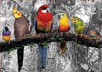 Birds In The Jungle - Educa puzzle collectible [Barcode 8412668179844] - Main Image 2