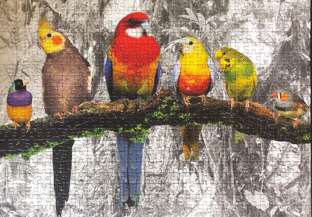 Birds In The Jungle - Educa puzzle collectible [Barcode 8412668179844] - Main Image 3