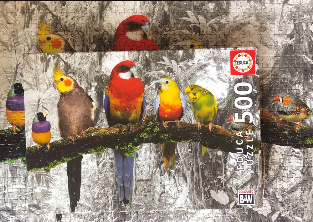 Birds In The Jungle - Educa puzzle collectible [Barcode 8412668179844] - Main Image 4