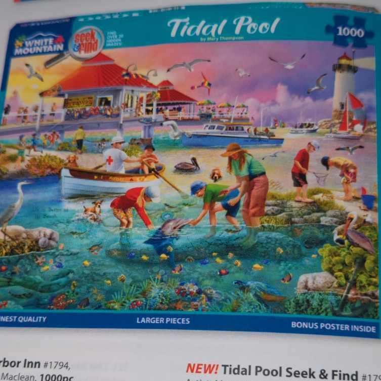 Tidal Pool - White Mountain puzzle collectible - Main Image 1