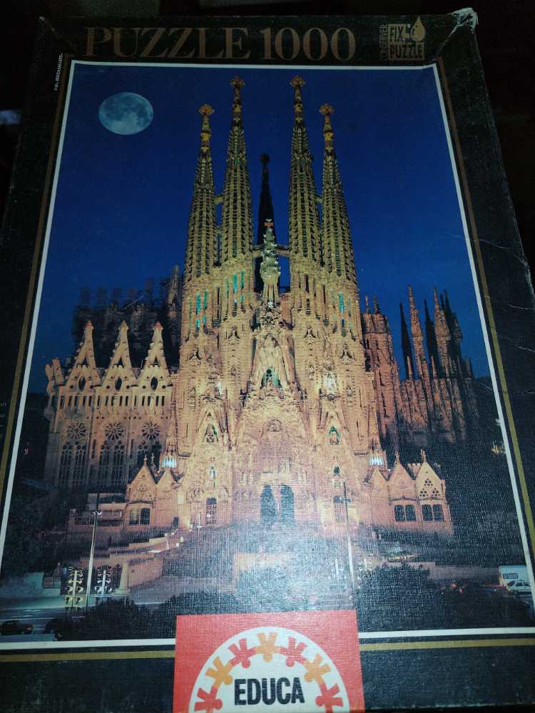 Kittens And Colorful Flowers- JOAN