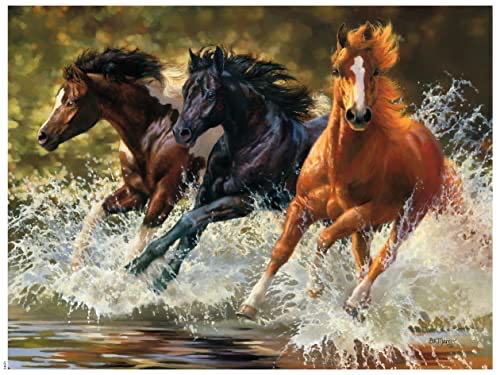 Pedals ’n’ Petals