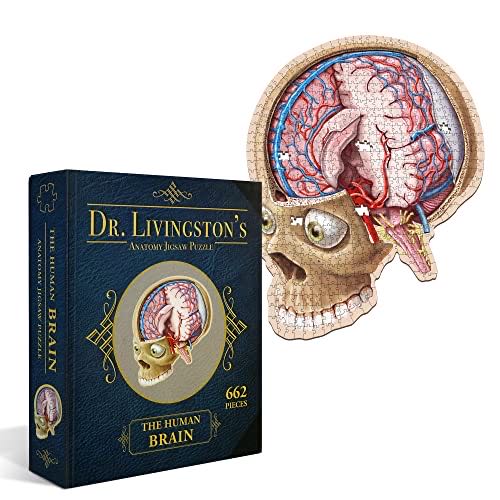 Dr Livingston’s Anatomy: The Human Brain - Genius Games, LLC. puzzle collectible [Barcode 653341738509] - Main Image 1