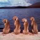 Rencontre Vers La Poésie