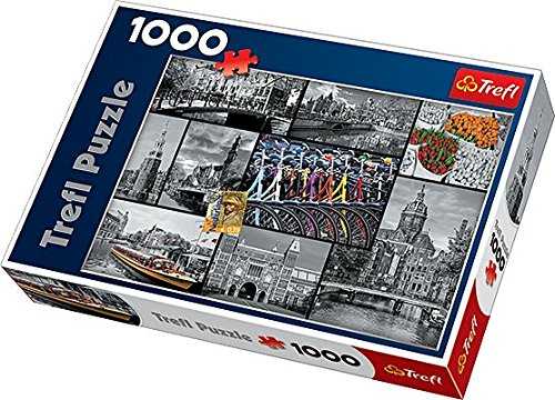 Red Dragonfly In Otaki