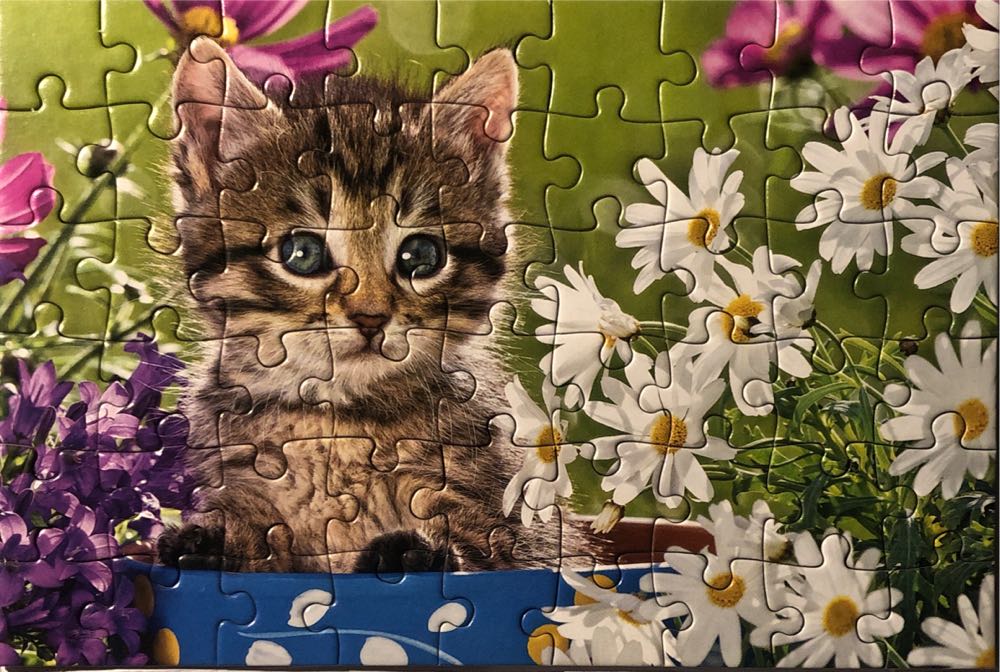 Kittens In The Flowergarden  🟦 - Castorland puzzle collectible [Barcode 5904438005406] - Main Image 3