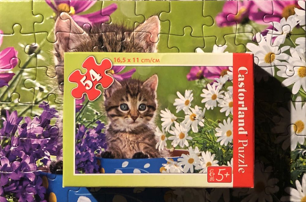 Kittens In The Flowergarden  🟦 - Castorland puzzle collectible [Barcode 5904438005406] - Main Image 4