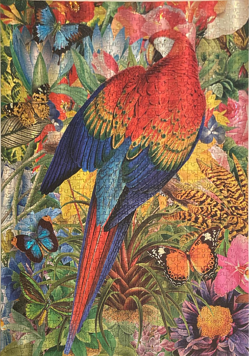 Https: Www.e Stat.go.jp Stat Search File Download... - Paperblanks puzzle collectible [Barcode 9781439793312] - Main Image 3