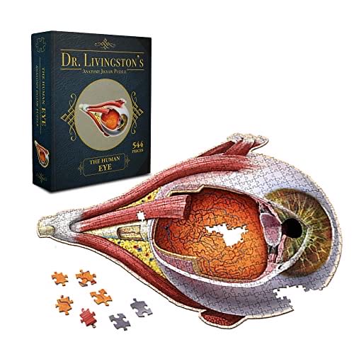 Bizenghast—Blind Dinah