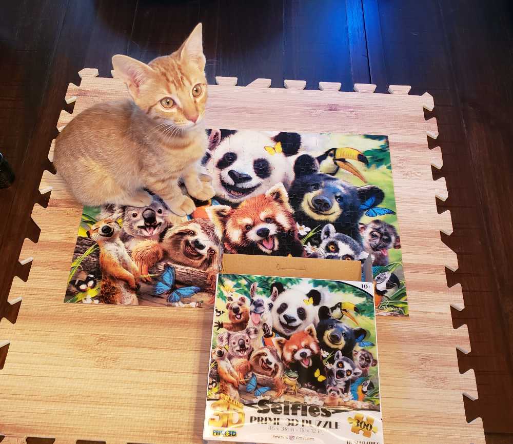 Selfies - Prime 3D puzzle collectible [Barcode 670889208141] - Main Image 3