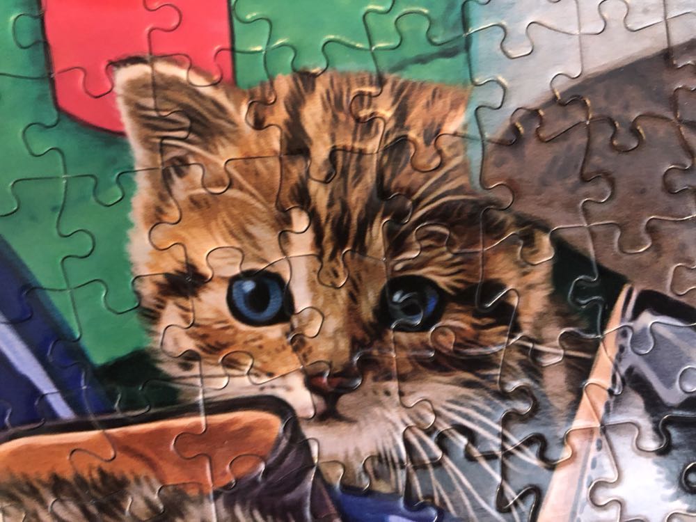 Cats - Closet Cats (From Steph) - Buffalo puzzle collectible - Main Image 3