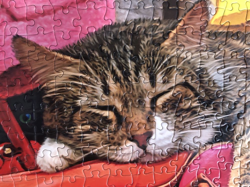 Cats - Closet Cats (From Steph) - Buffalo puzzle collectible - Main Image 4