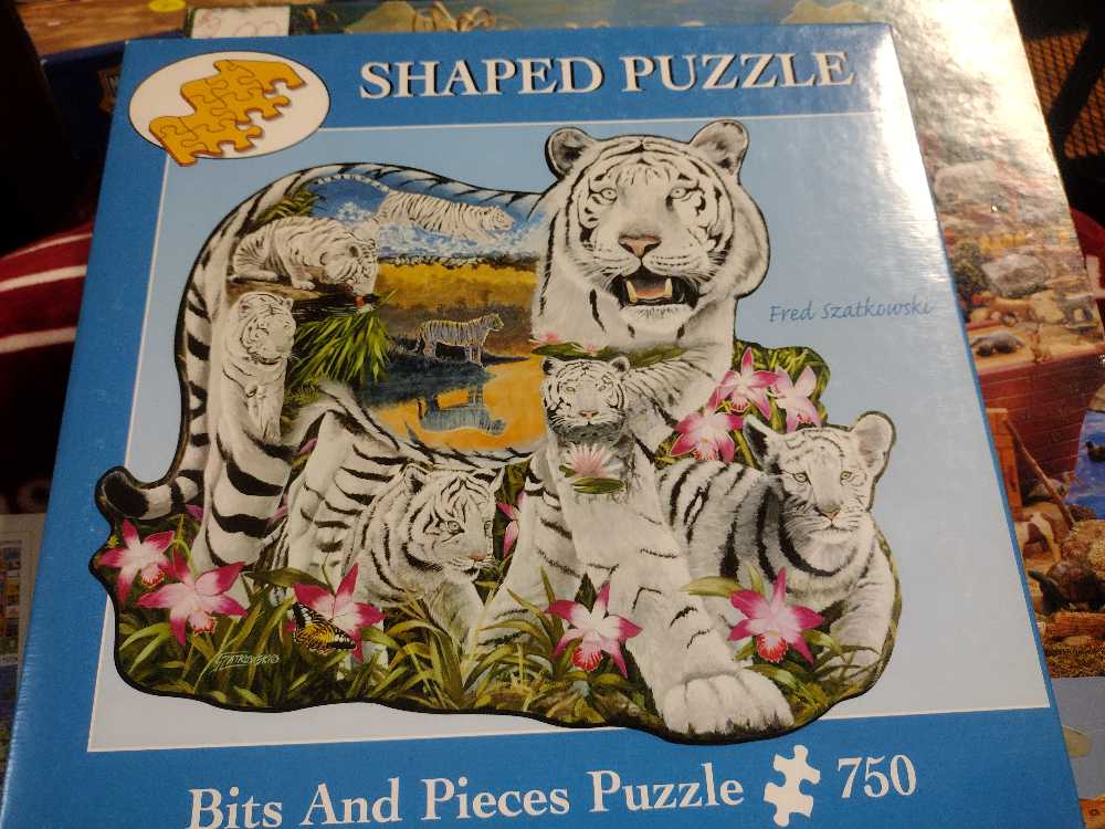 Space Shuttle Orbiter