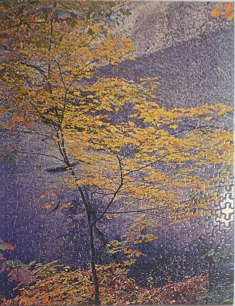 Leaves Of Autumn / Patterns - Springbok 🇺🇸 puzzle collectible - Main Image 2