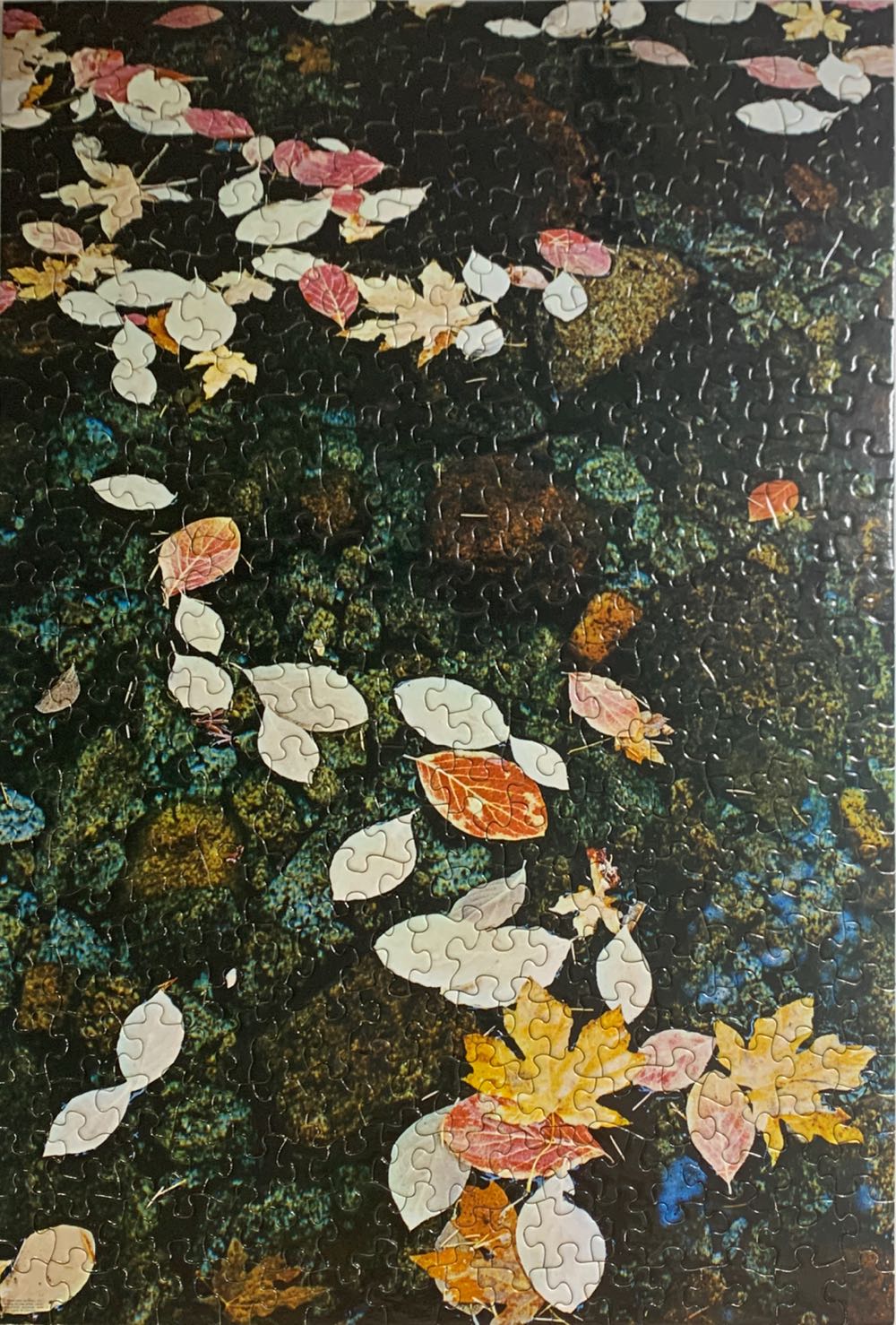 Leaves Of Autumn / Patterns - Springbok 🇺🇸 puzzle collectible - Main Image 3