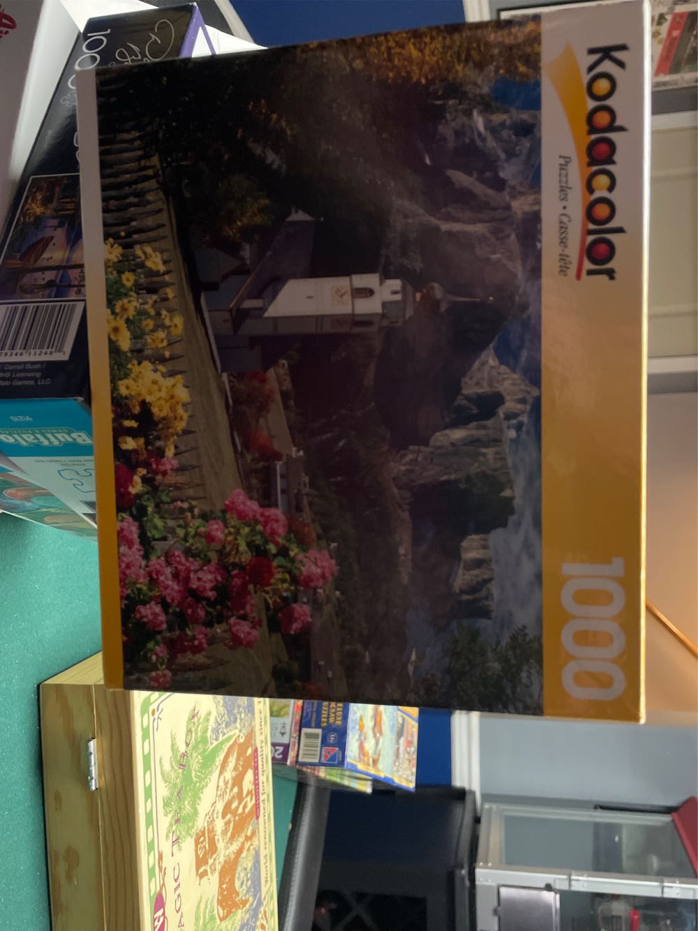 Beautiful Butterflies