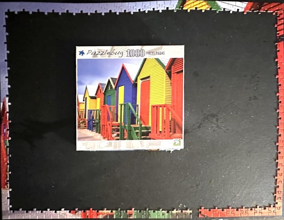 Fish Hoak - Puzzle Bug puzzle collectible - Main Image 2