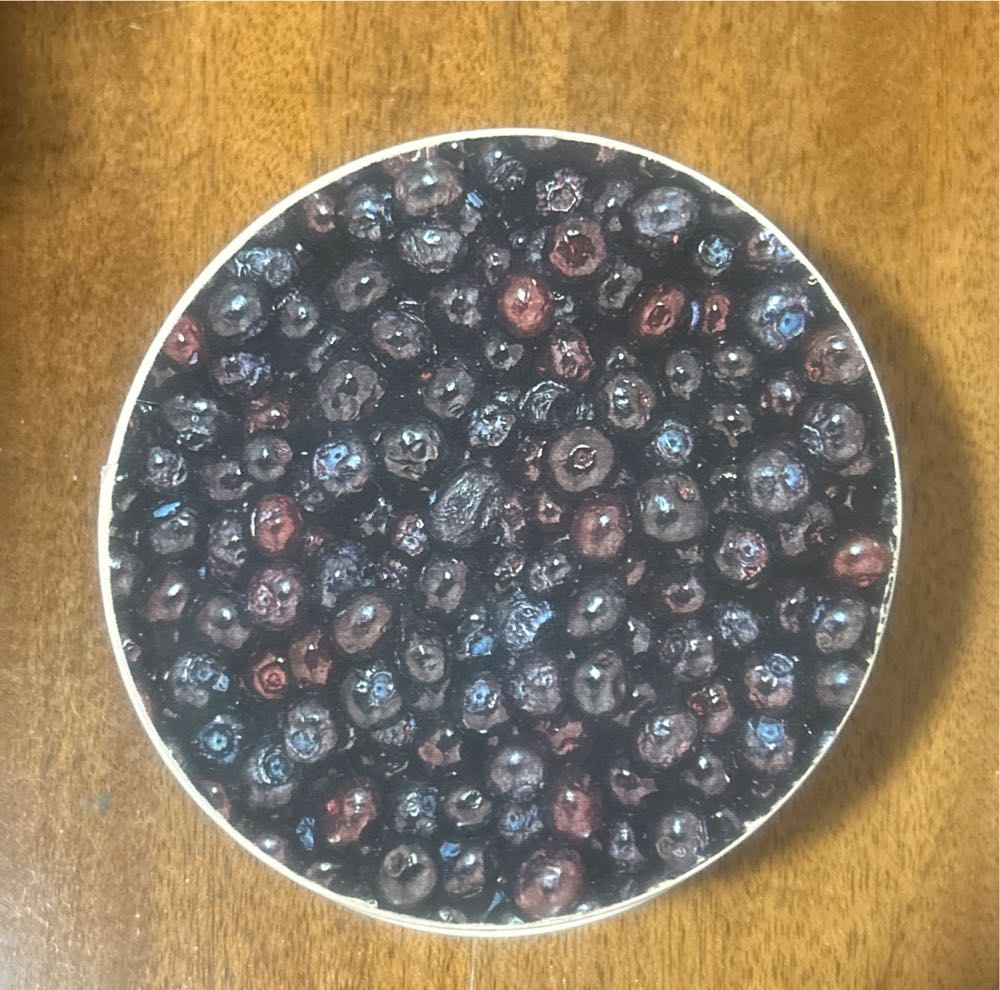 One Hundred Dogs And A Cat