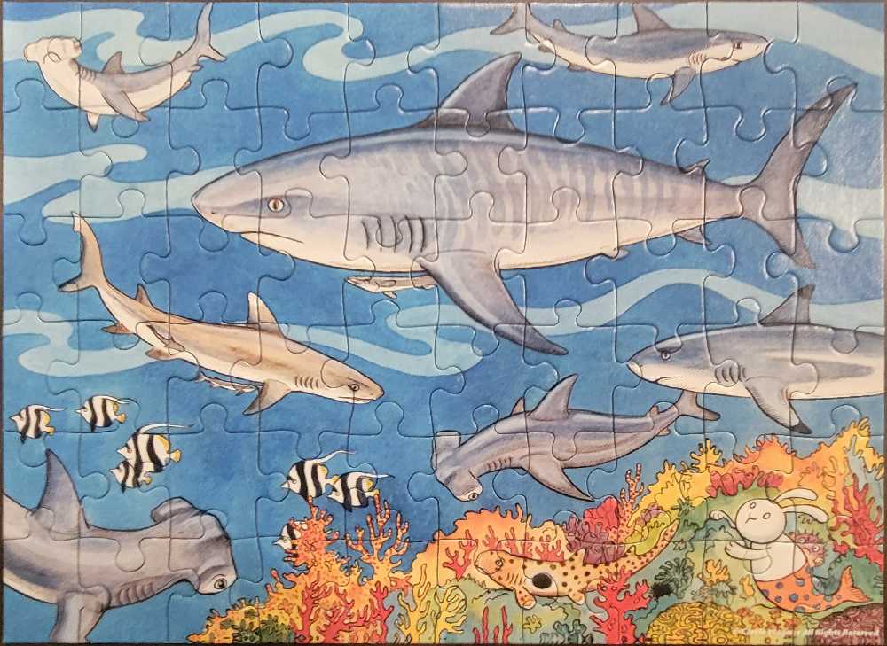 Sea Of Sharks - Ravensburger 🇩🇪 puzzle collectible [Barcode 4005556096282] - Main Image 2