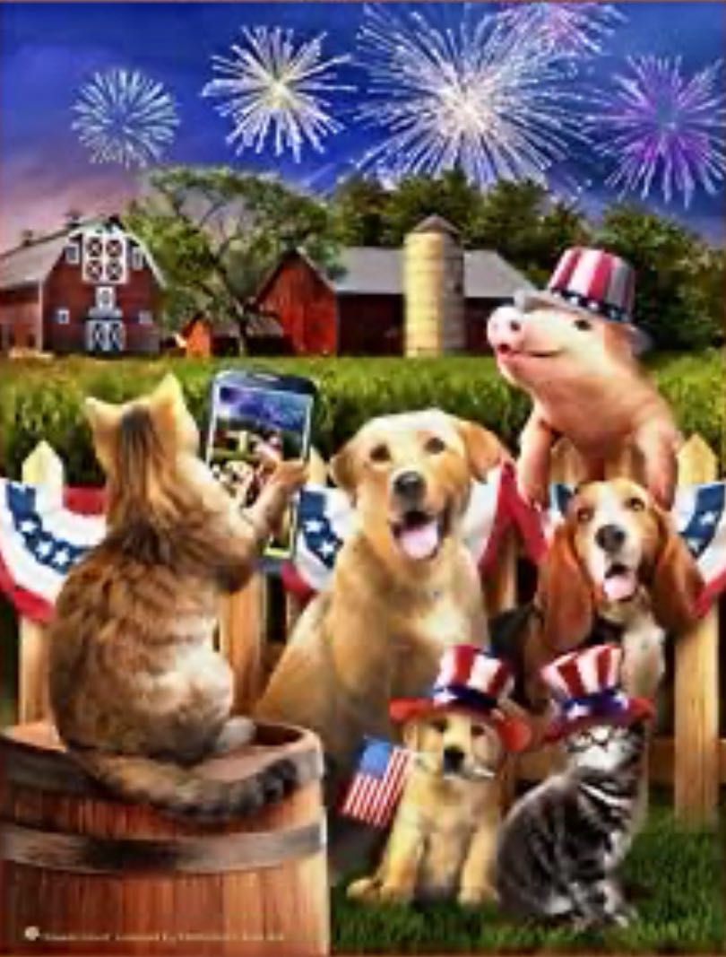 Say Cheese - SunsOut puzzle collectible [Barcode 796780288416] - Main Image 2