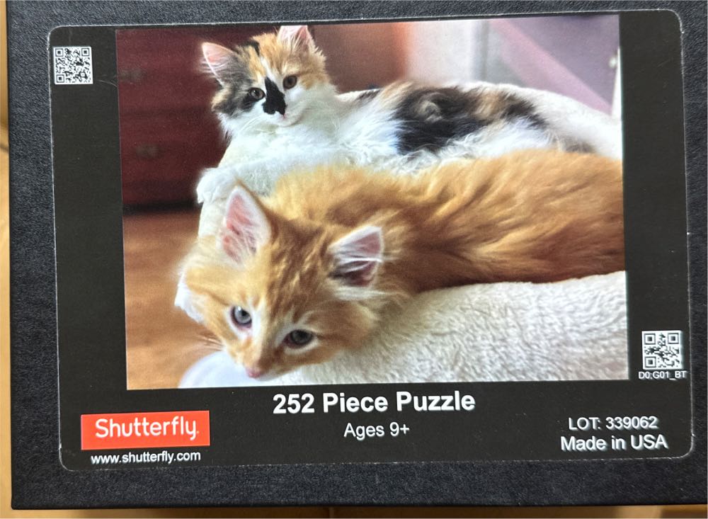 Pokémon : Gotta Catch ‘Em All