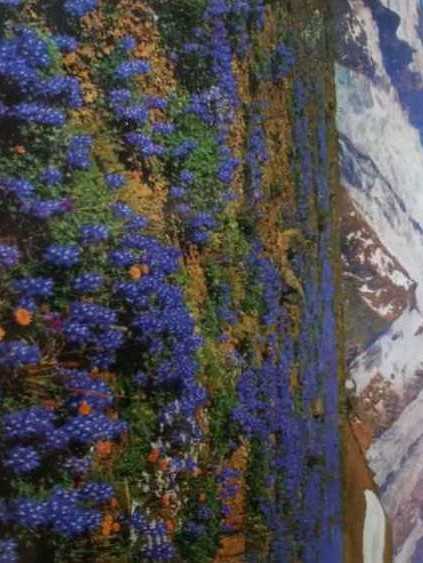 Burroughs Mountain  puzzle collectible - Main Image 2