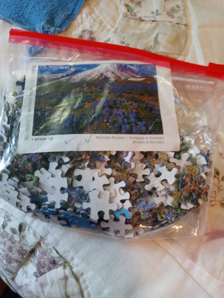 Burroughs Mountain  puzzle collectible - Main Image 4