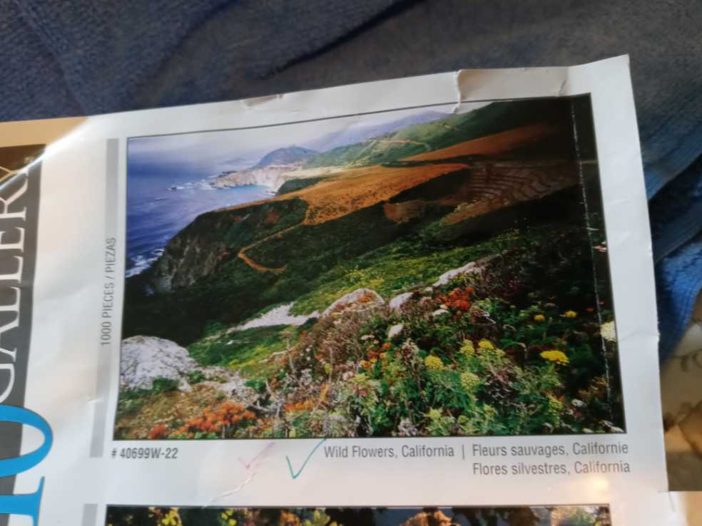 Wild Flowers, California  puzzle collectible - Main Image 2