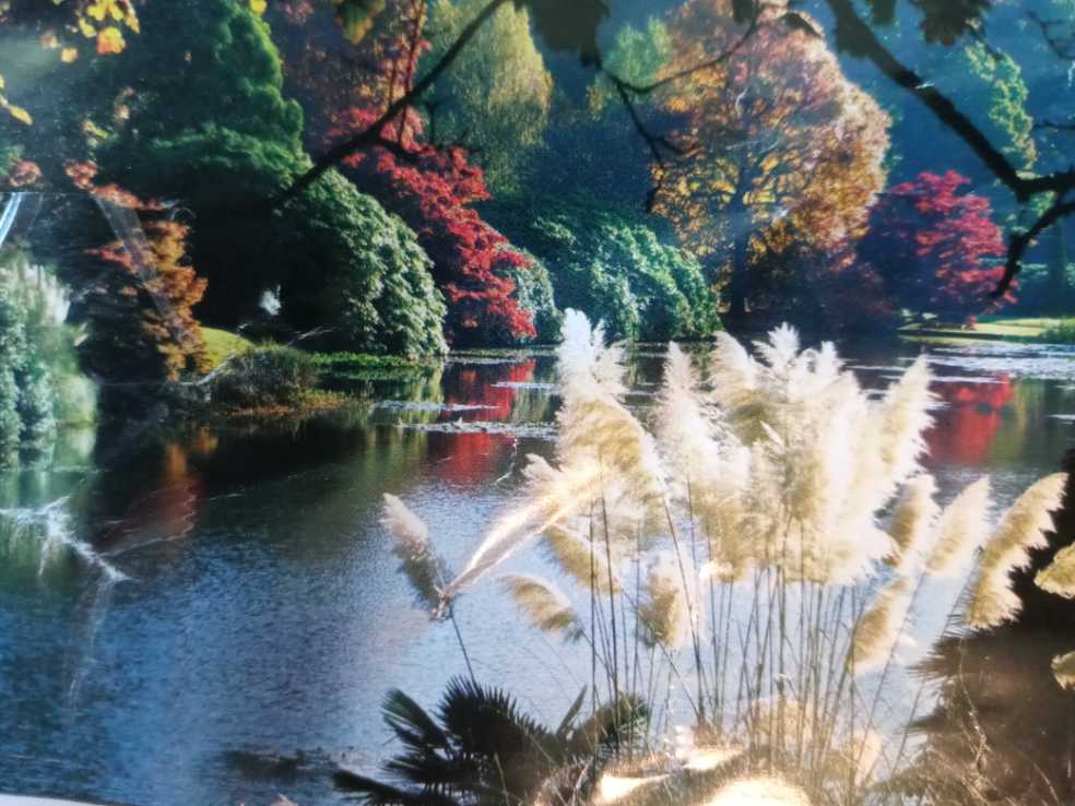 Sheffield Park Gardens  puzzle collectible - Main Image 1