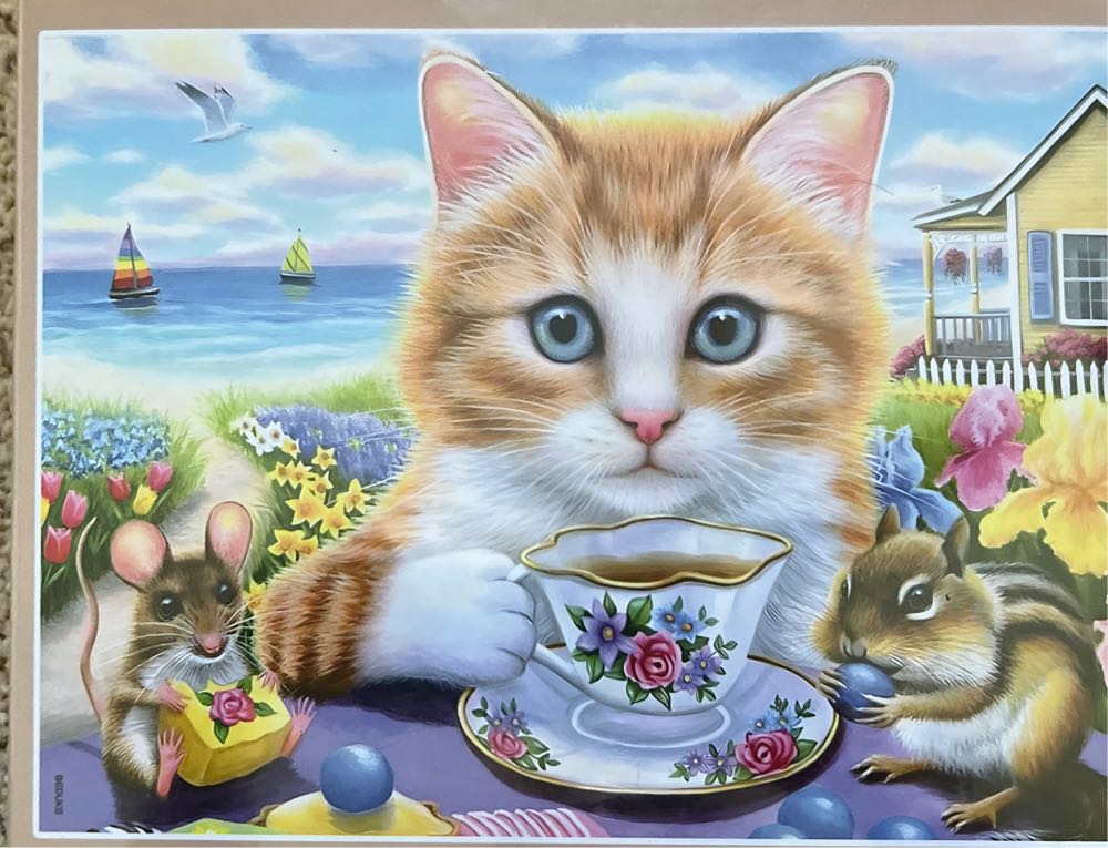 Summer In The High County