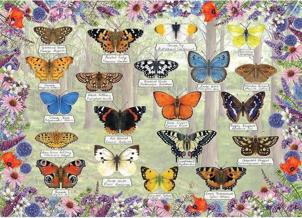 Beautiful Butterflies - Gibsons puzzle collectible [Barcode 5012269063660] - Main Image 2
